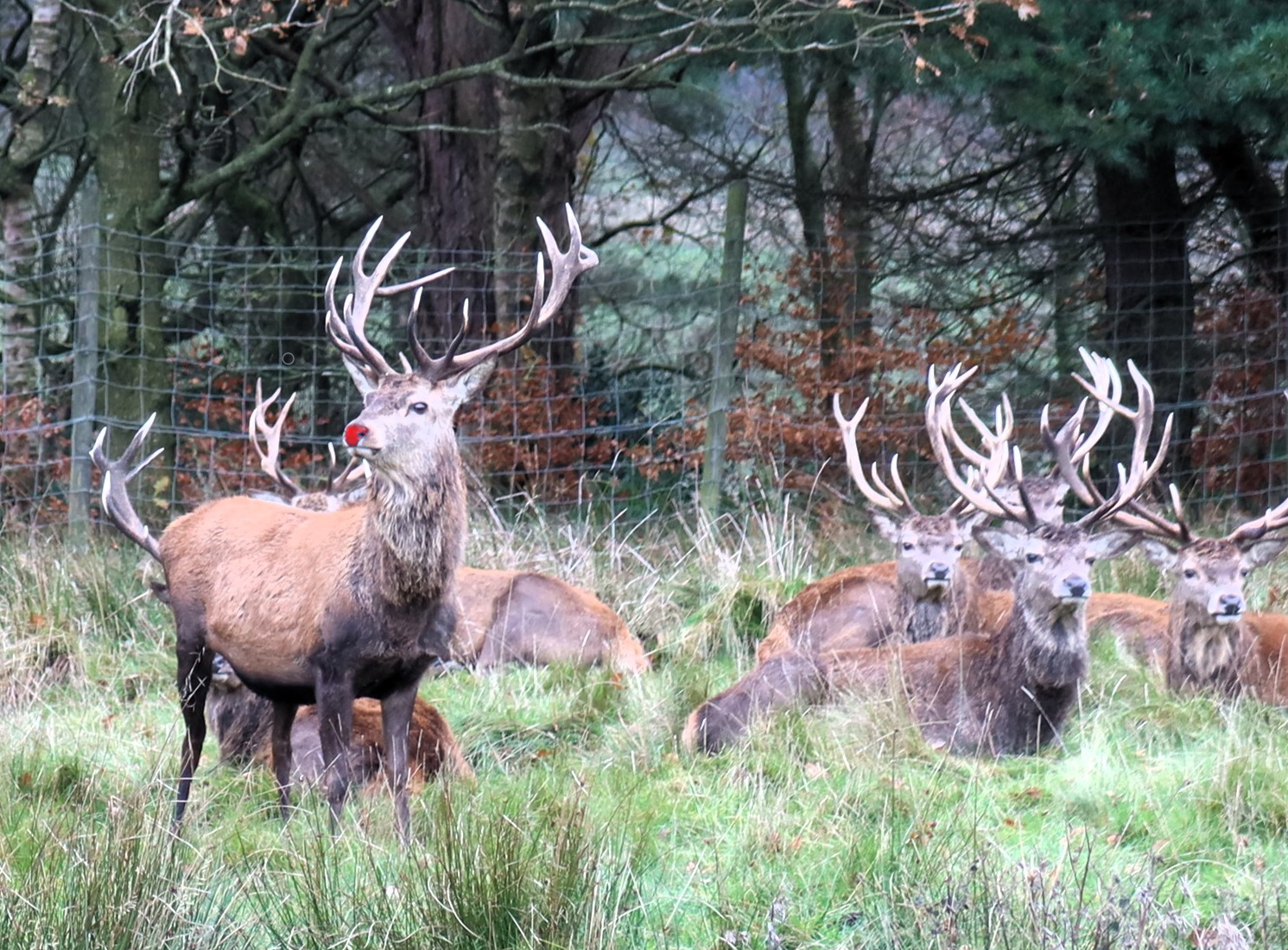 Lyme Park